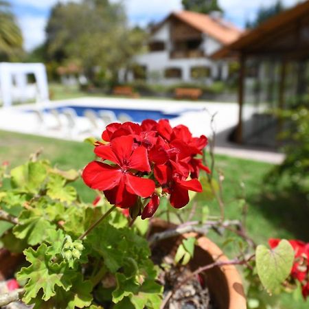 מלון טבבלה Quinta La Constanza מראה חיצוני תמונה